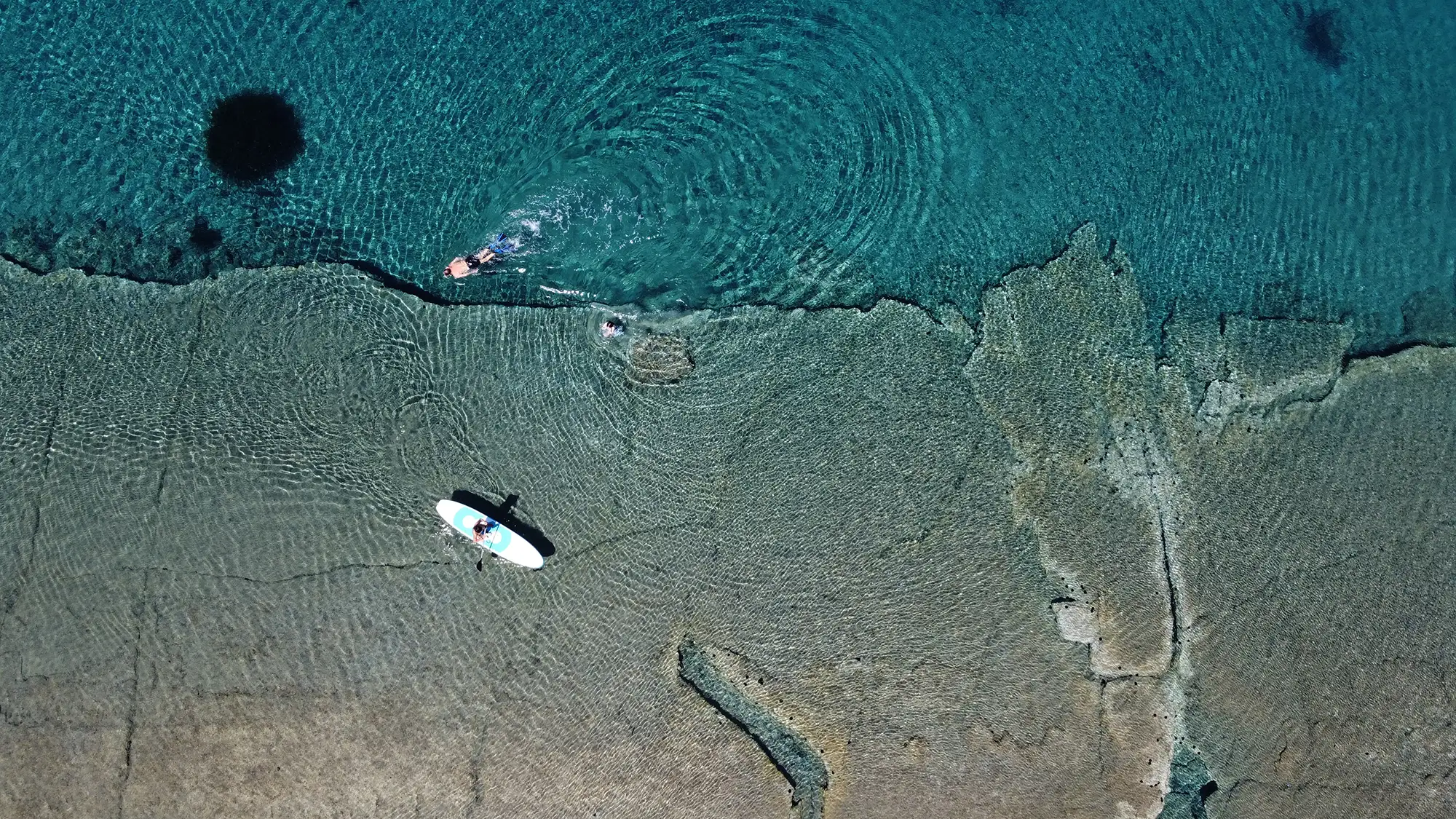 Couple swimming in the bay area