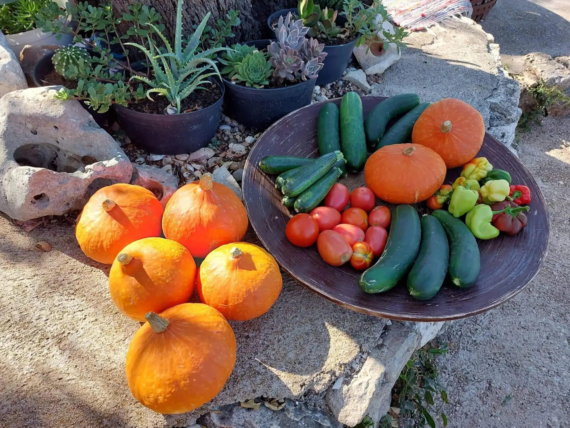 Local fresh plucked vegetables and fruits