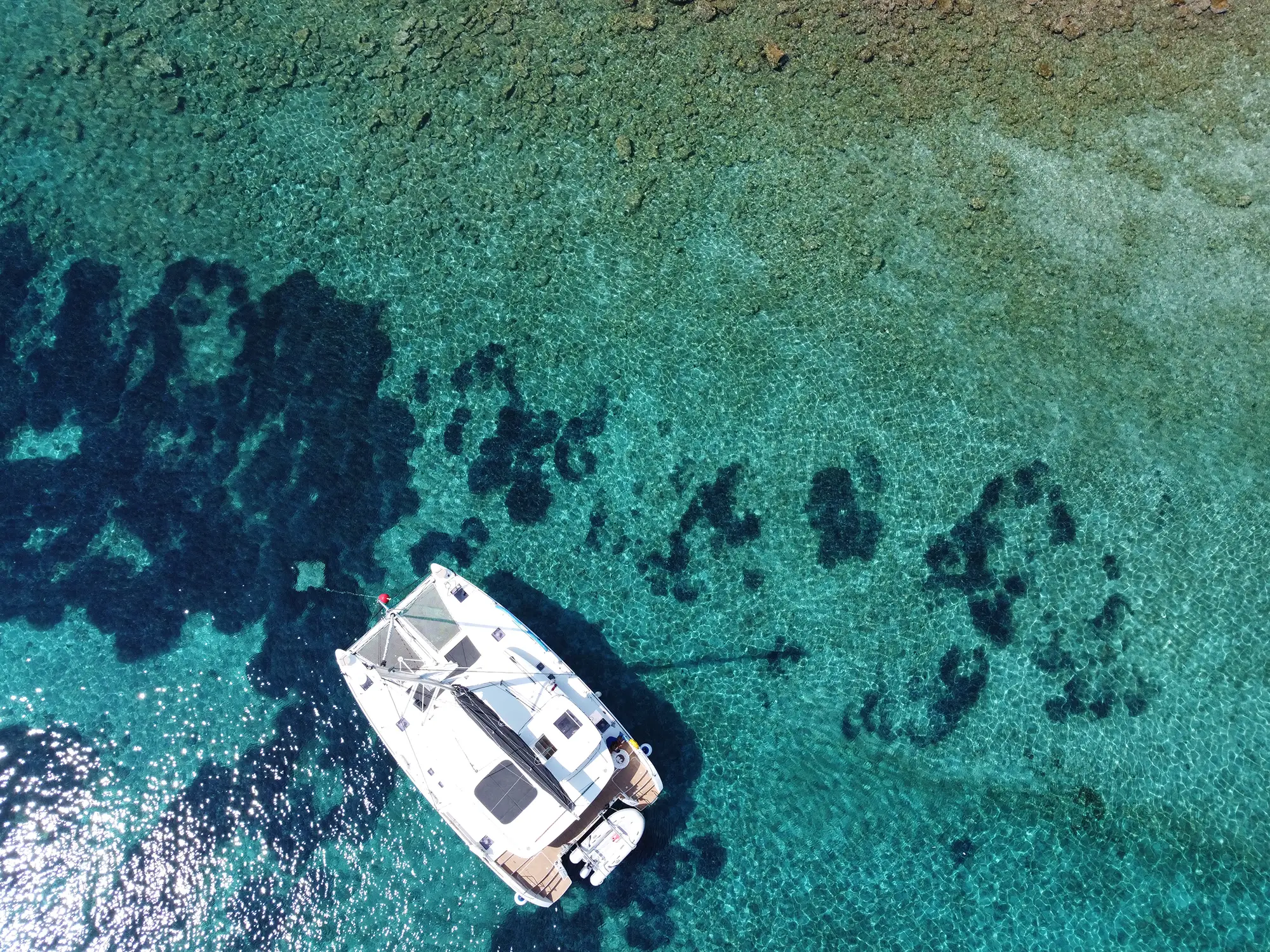 Catamaran top view