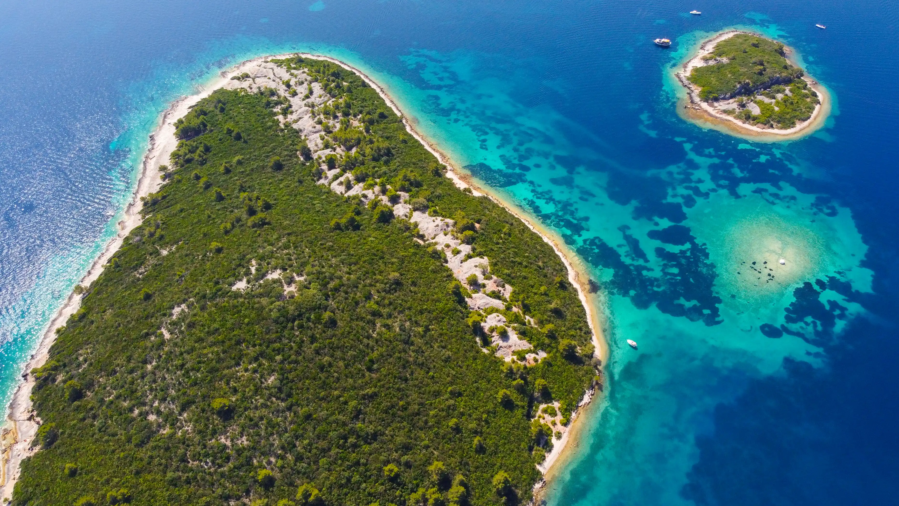 Dalmatian Island Shore