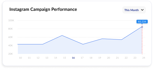 campaign-performace